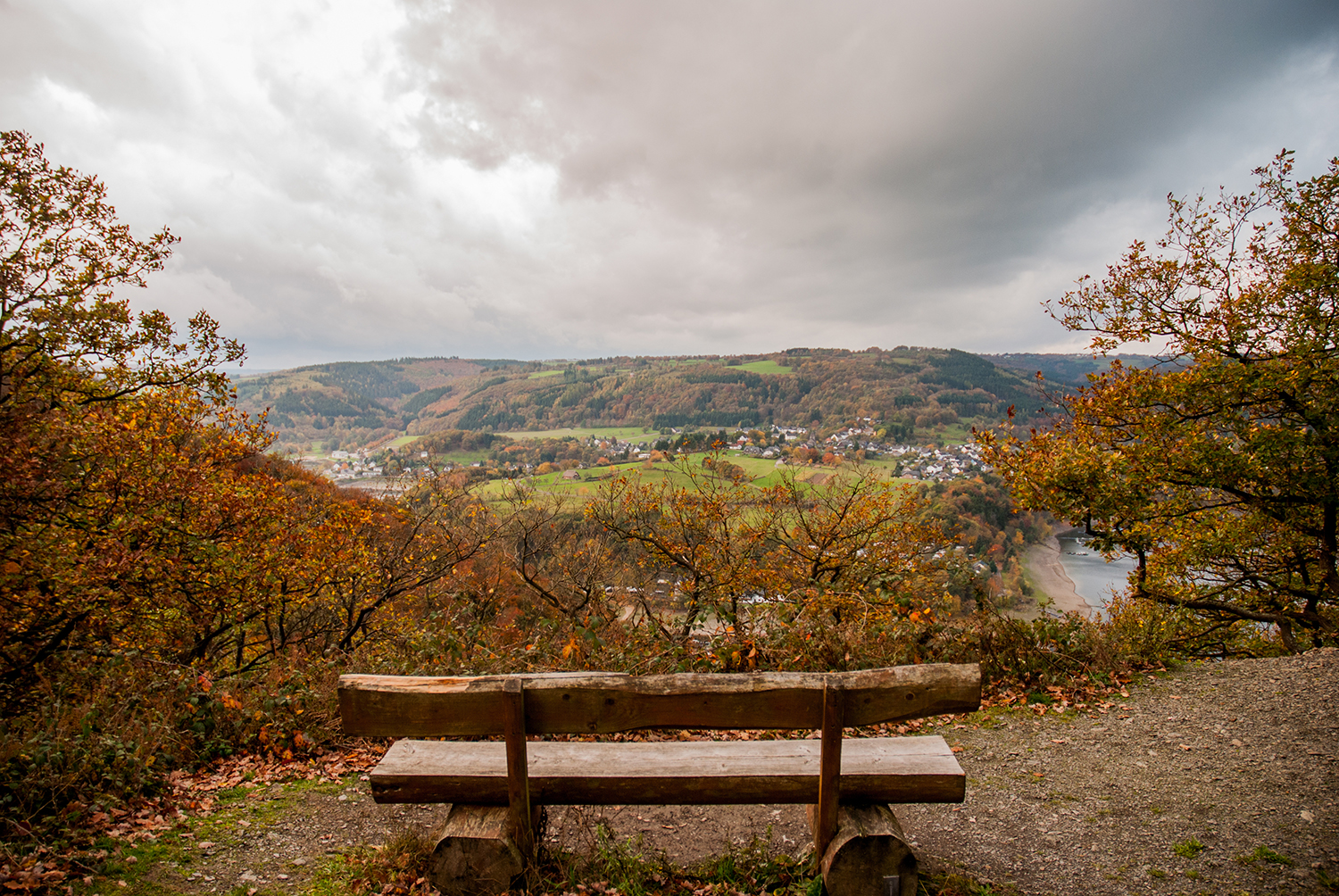 Nationalpark Eifel Bank.jpg